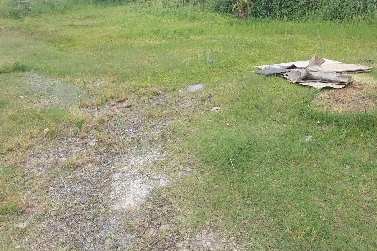 An undeveloped plot of land featuring overgrown grass and natural terrain, suitable for future landscaping or construction projects.