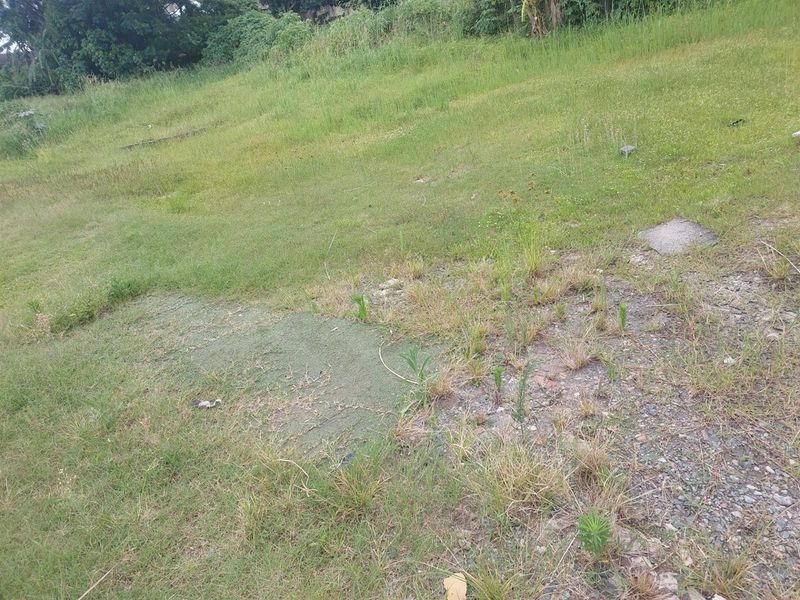 An undeveloped plot of land featuring overgrown grass and natural ground cover, suitable for future landscaping or construction projects.