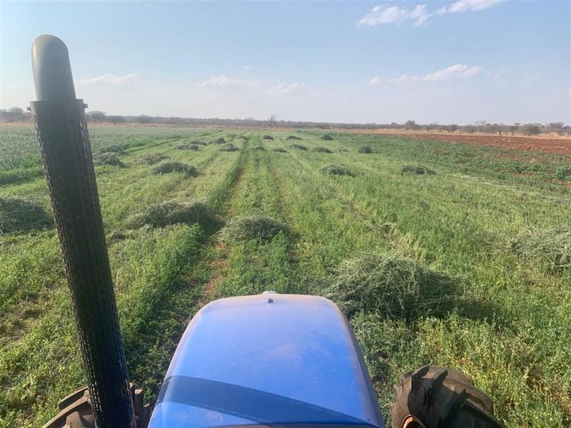 Prime Mixed Farming Opportunity Bordering Sondela - Photo 5