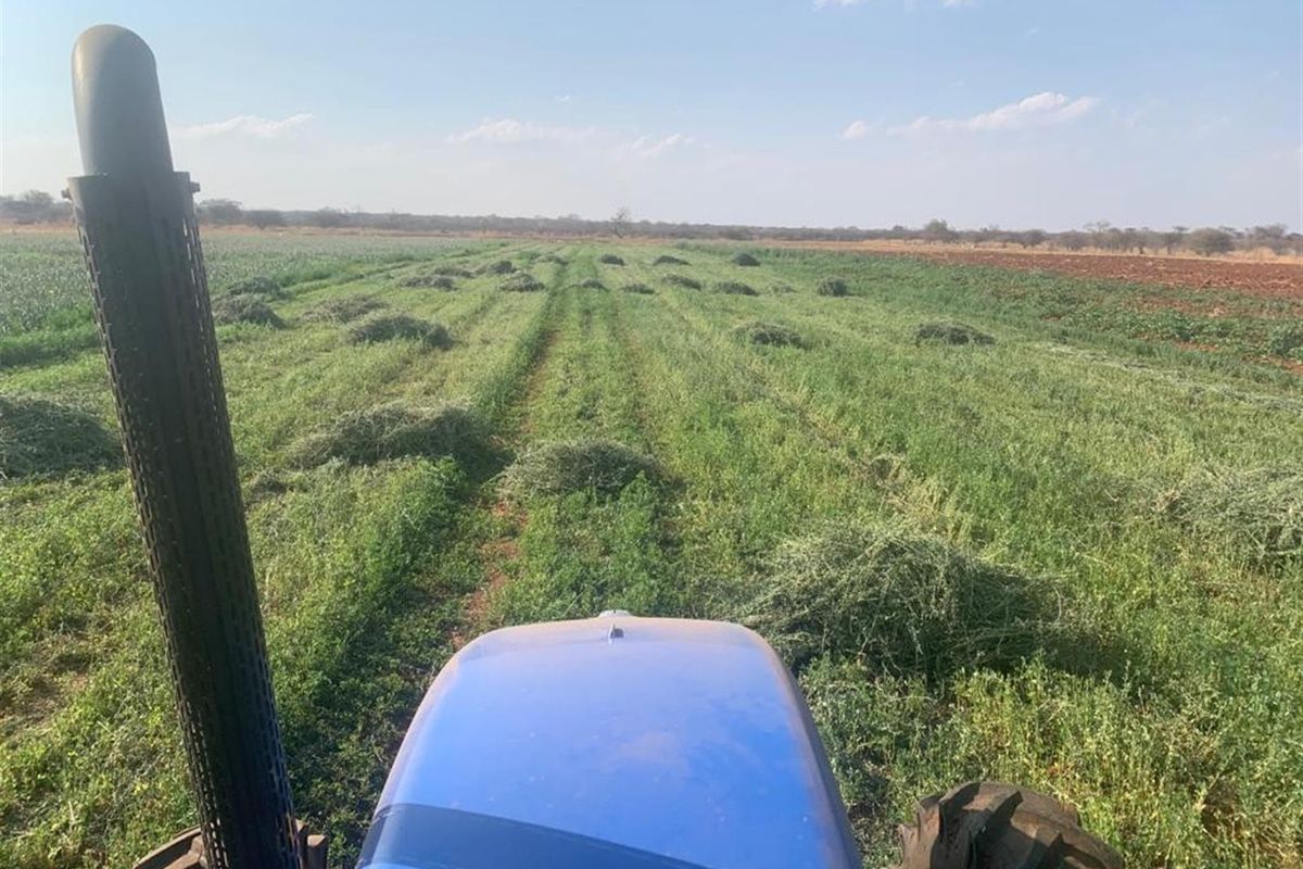 Prime Mixed Farming Opportunity Bordering Sondela - Photo 5