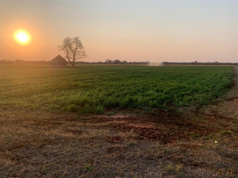 Prime Mixed Farming Opportunity Bordering Sondela - Photo 4