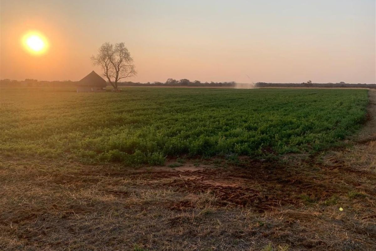 Prime Mixed Farming Opportunity Bordering Sondela - Photo 4