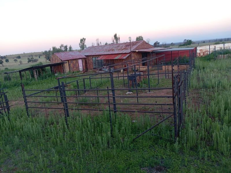 Vacant Land For Sale in Agricultural Holding 475, Cullinan Rural, Cullinan - Photo 7