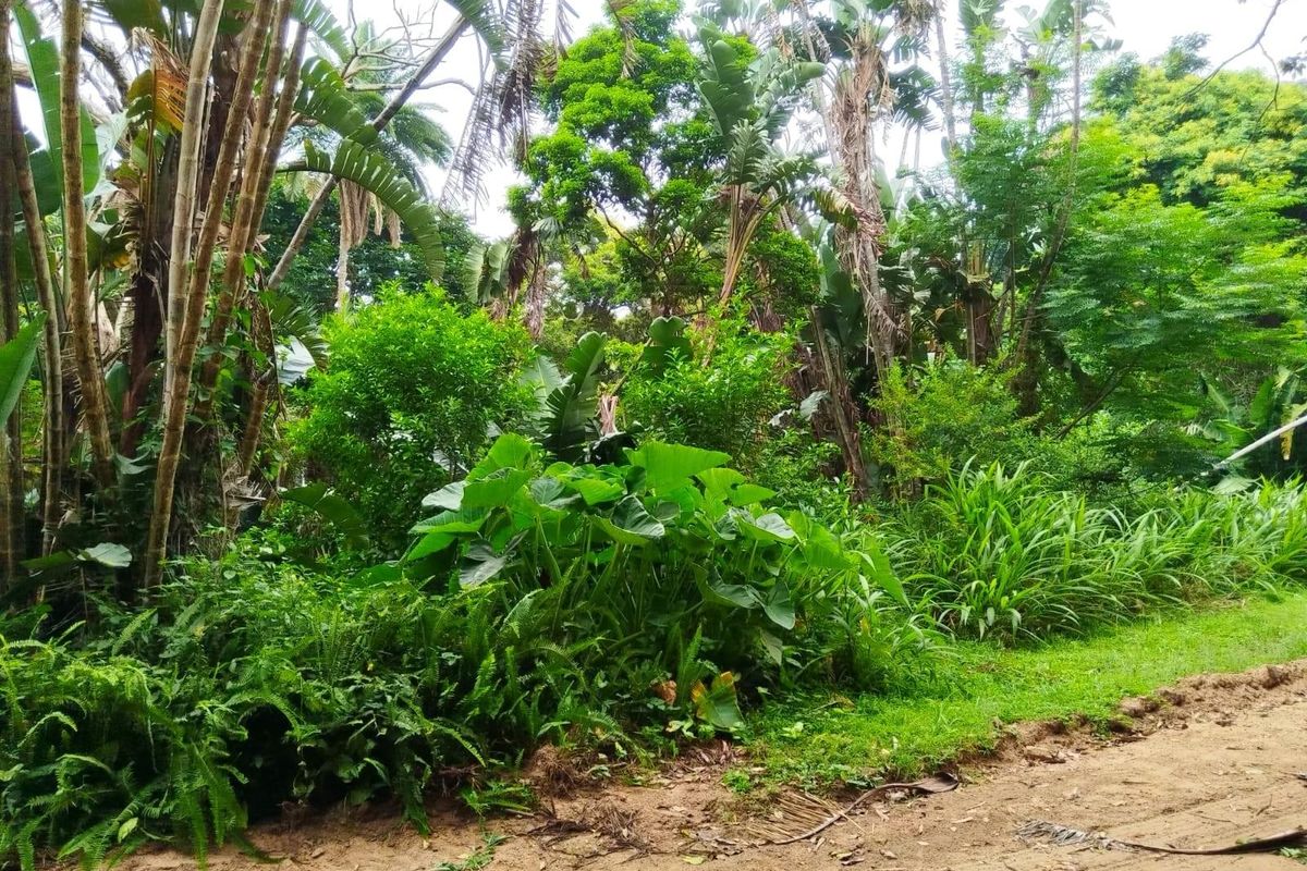 Discover Glenmore - Coastal Living at Its Best. Bargain! - Photo 2