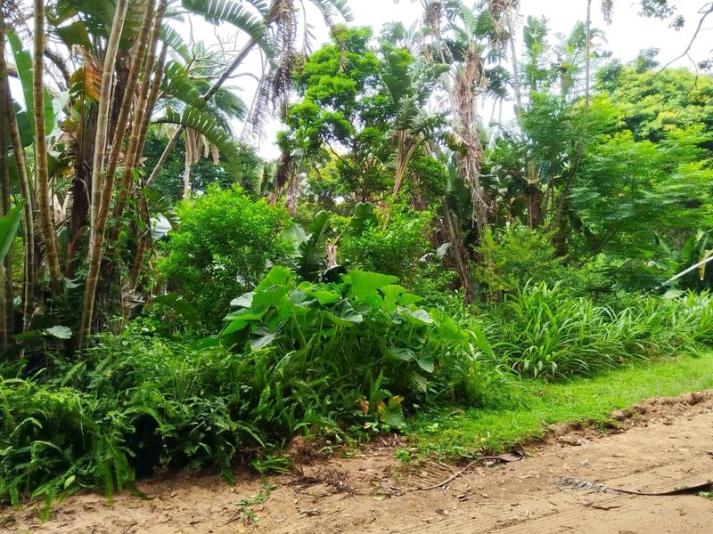 Discover Glenmore - Coastal Living at Its Best. Bargain! - Photo 2