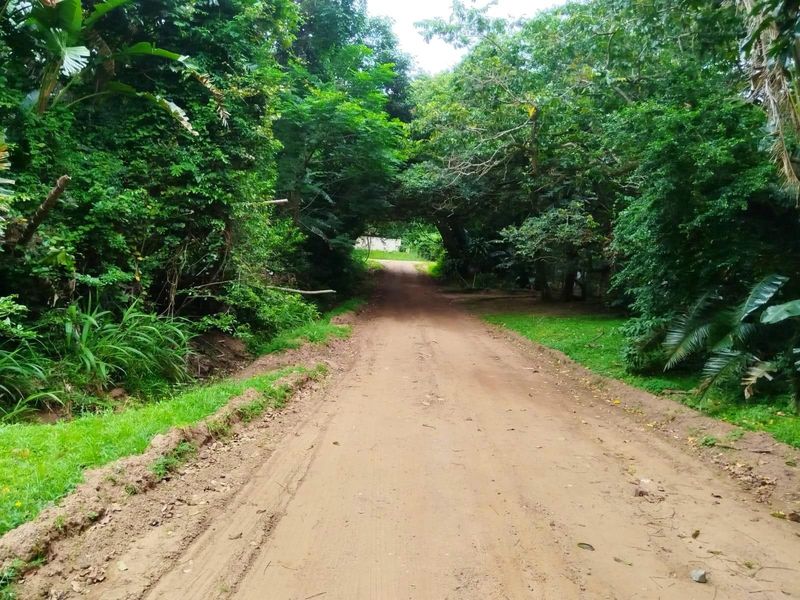 Discover Glenmore - Coastal Living at Its Best. Bargain! - Photo 3