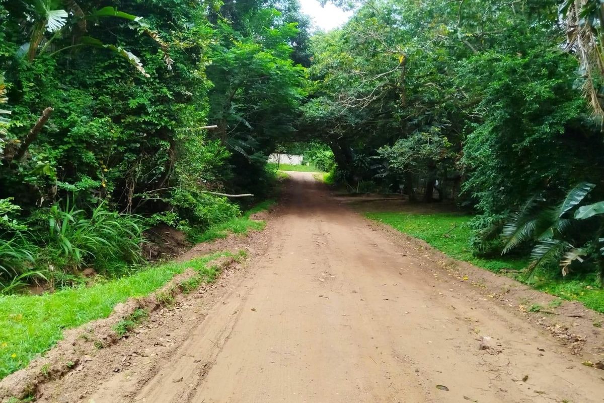 Discover Glenmore - Coastal Living at Its Best. Bargain! - Photo 3