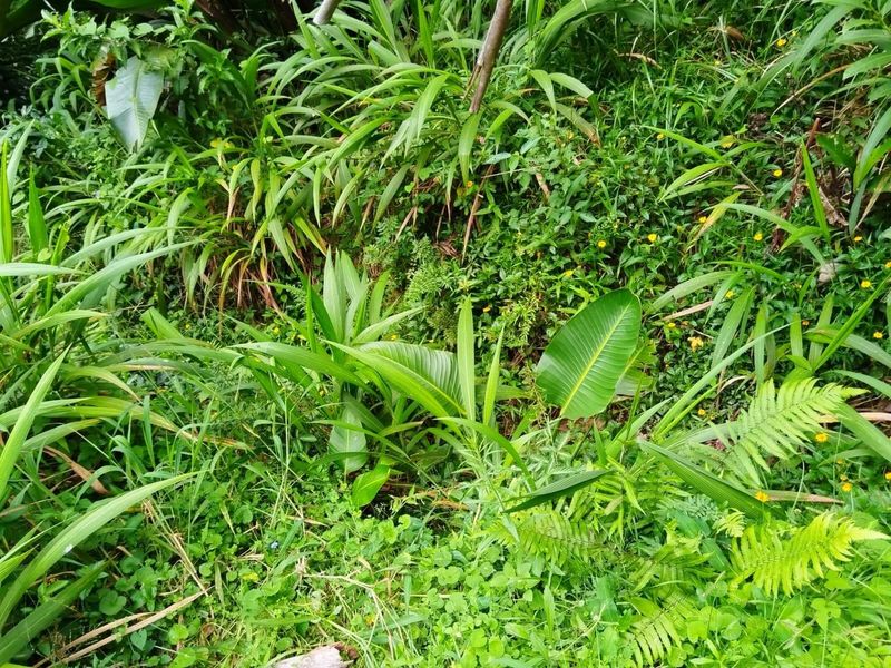 Discover Glenmore - Coastal Living at Its Best. Bargain! - Photo 5