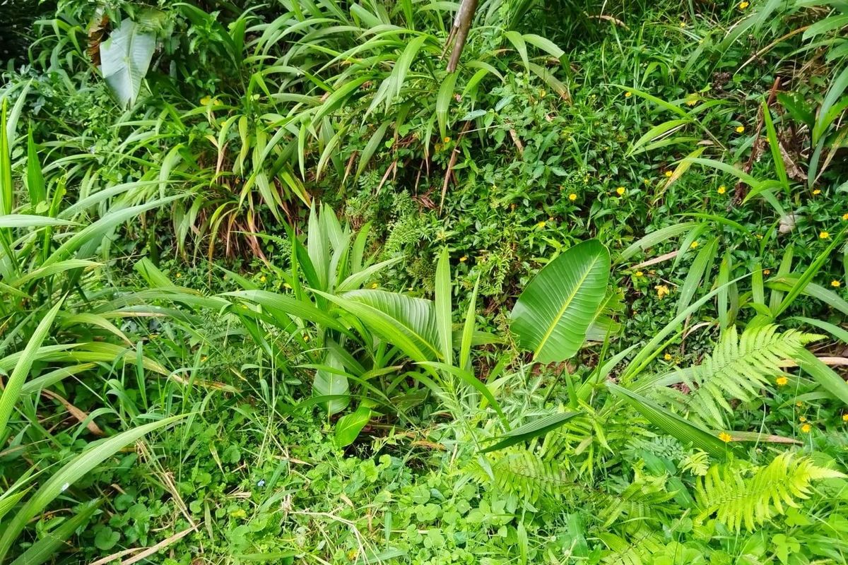 Discover Glenmore - Coastal Living at Its Best. Bargain! - Photo 5