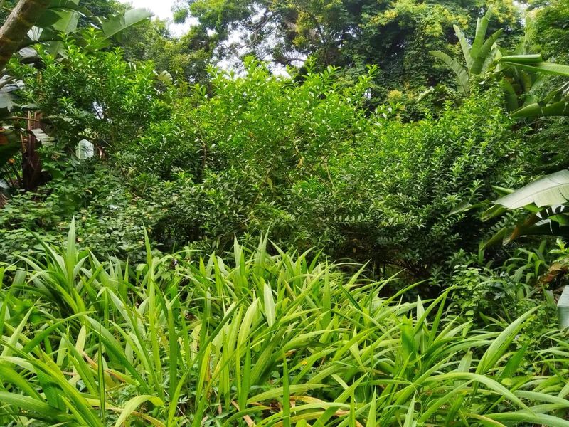 Discover Glenmore - Coastal Living at Its Best. Bargain! - Photo 4