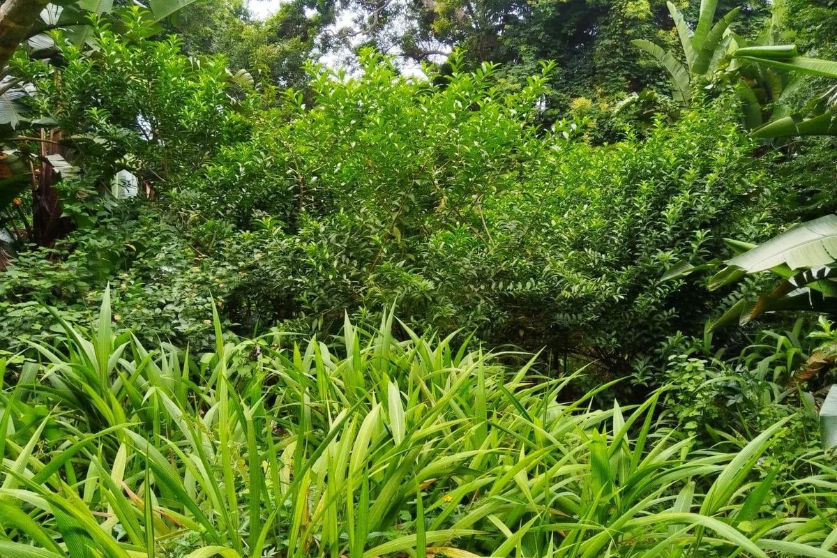 Discover Glenmore - Coastal Living at Its Best. Bargain! - Photo 4