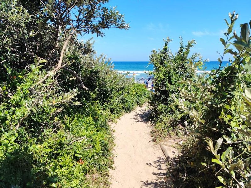 Discover Glenmore - Coastal Living at Its Best. Bargain! - Photo 8