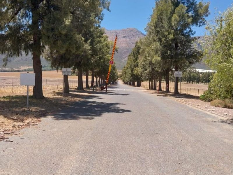 Vacant Land For Sale in Porterville - Photo 4