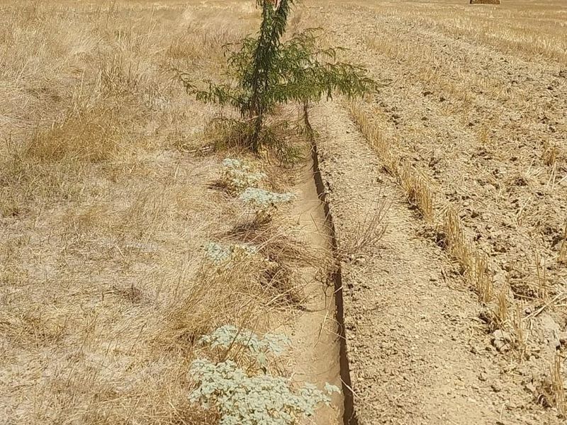 Vacant Land For Sale in Porterville - Photo 9