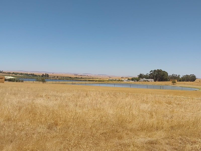 Vacant Land For Sale in Porterville - Photo 8