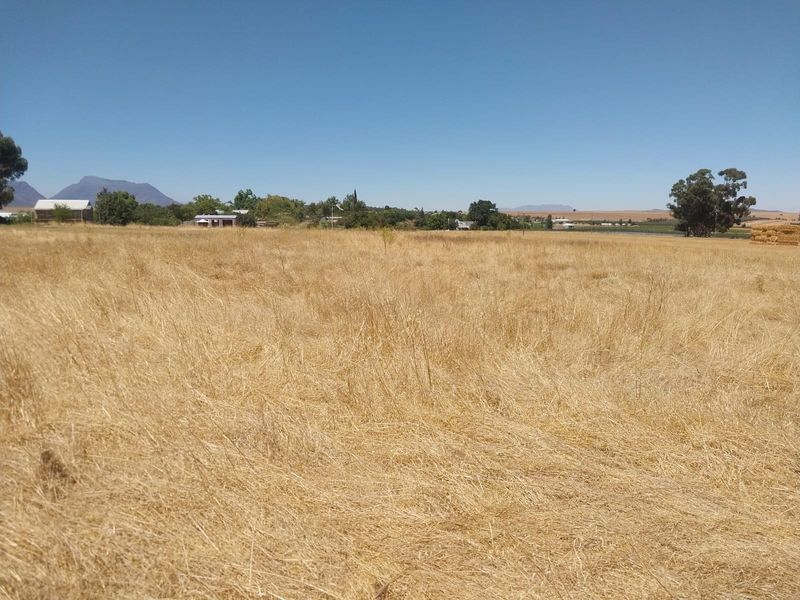 Vacant Land For Sale in Porterville - Photo 7