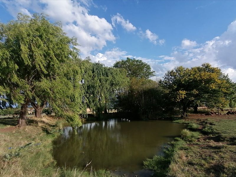 Farm For Sale in Bronkhorstspruit Rural, Bronkhorstspruit - Photo 4