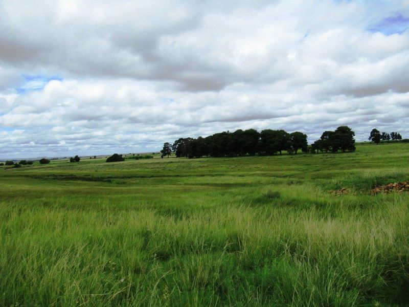 Farm For Sale in Schietpoort AH, Bronkhorstspruit Rural, Bronkhorstspruit - Photo 4