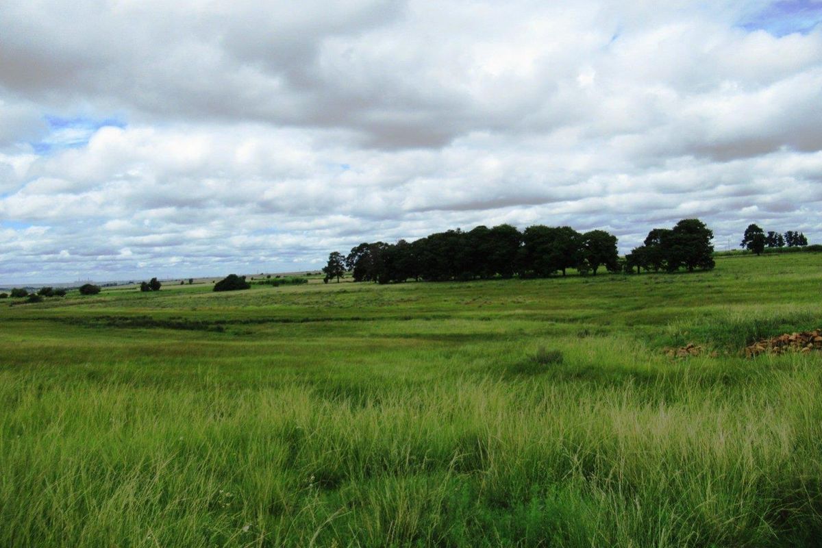 Farm For Sale in Schietpoort AH, Bronkhorstspruit Rural, Bronkhorstspruit - Photo 4