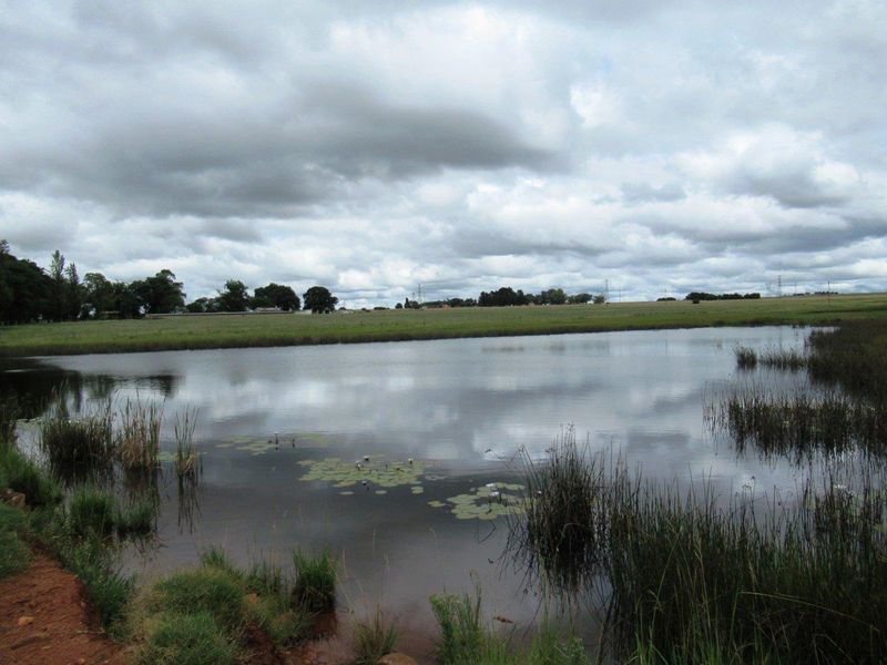 Farm For Sale in Schietpoort AH, Bronkhorstspruit Rural, Bronkhorstspruit - Photo 3