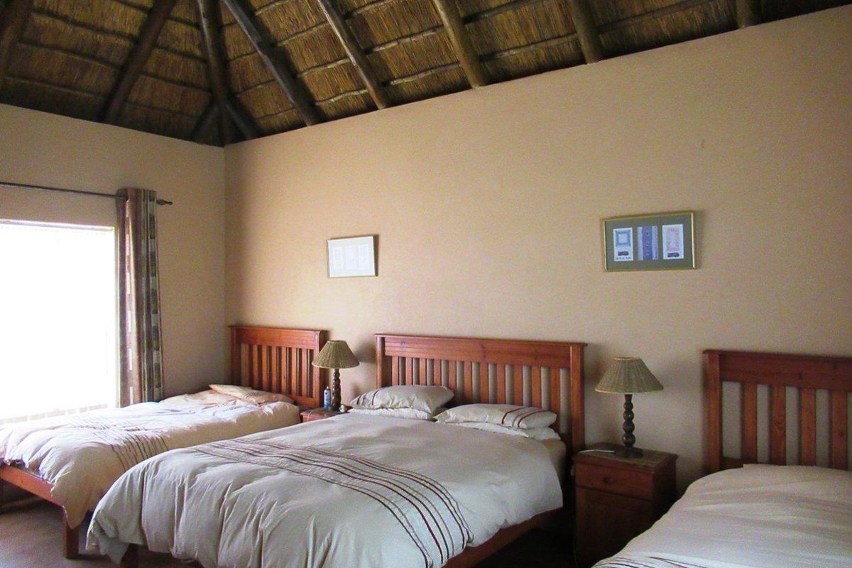 A spacious bedroom featuring a traditional high-pitched thatched roof, tiled flooring, and large windows allowing for natural light.