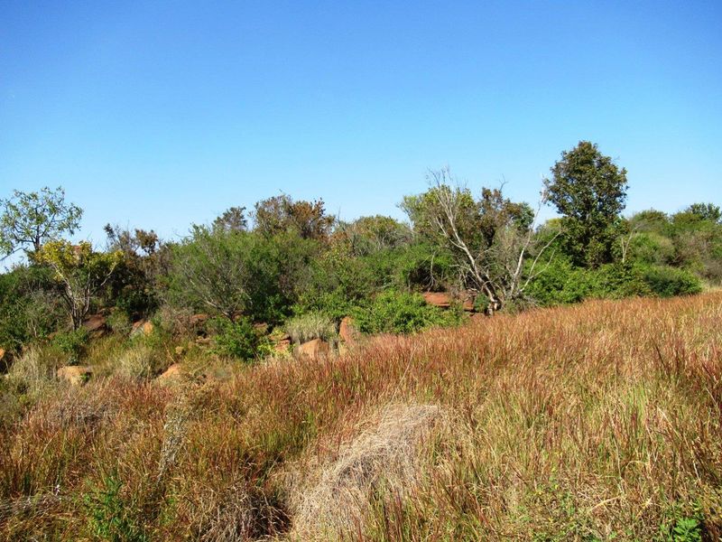 Farm For Sale in Bronkhorstspruit Rural, Bronkhorstspruit - Photo 9