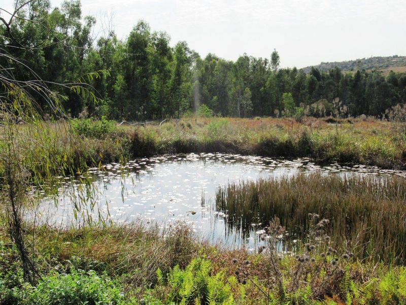 Farm For Sale in Bronkhorstspruit Rural, Bronkhorstspruit - Photo 8