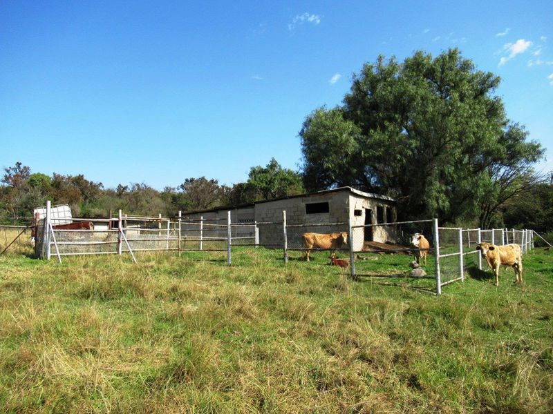 Farm For Sale in Bronkhorstspruit Rural, Bronkhorstspruit - Photo 7