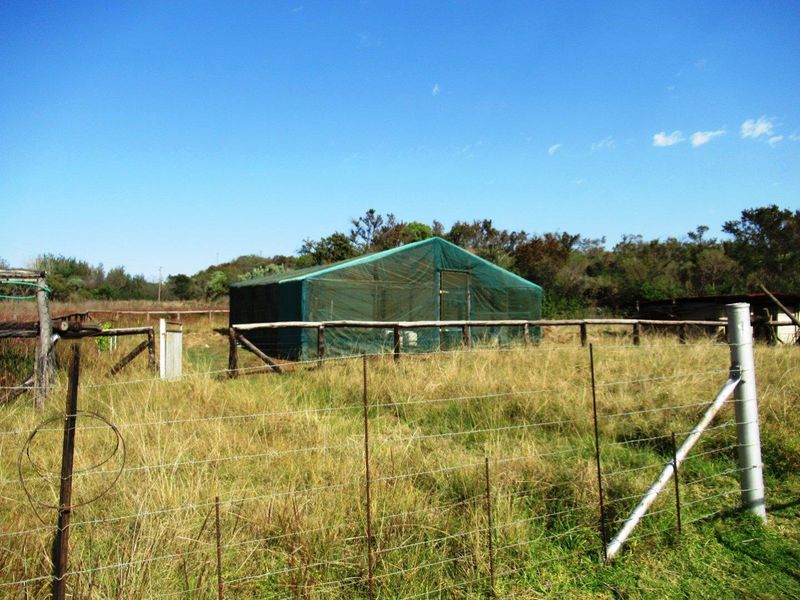 Farm For Sale in Bronkhorstspruit Rural, Bronkhorstspruit - Photo 6