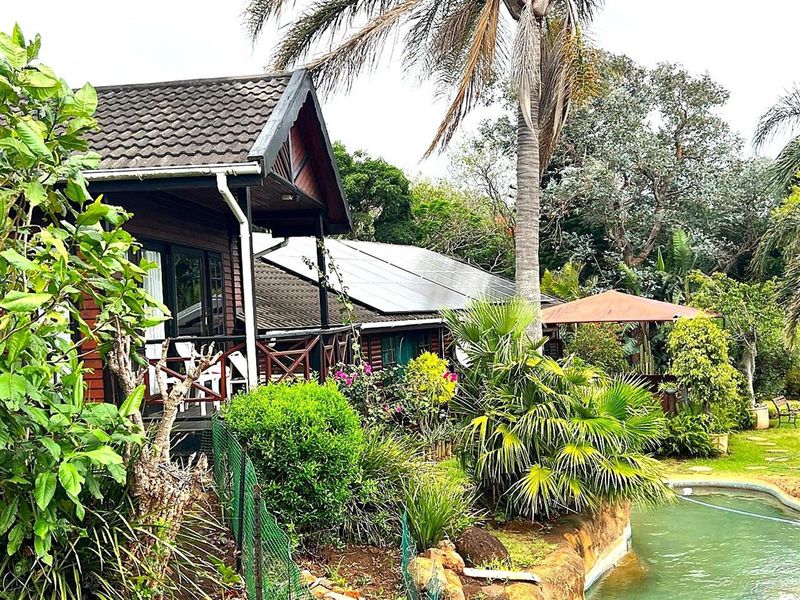 Rear view of a timber-clad farm dwelling featuring a raised deck, solar panel installation, and an adjacent swimming pool set within a lush garden.