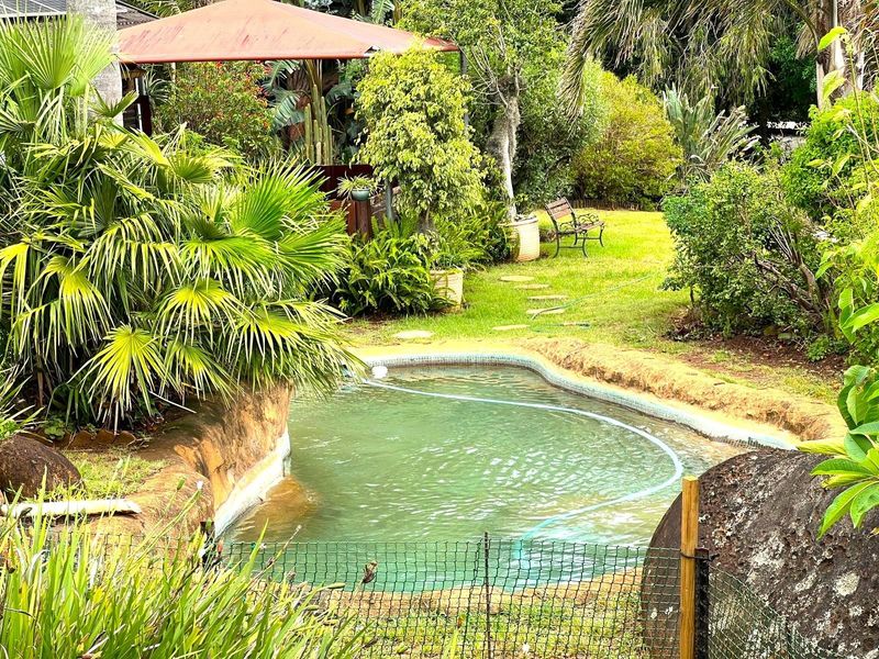 A natural-style swimming pool set within a lush, established garden, featuring rock edging and a safety fence.