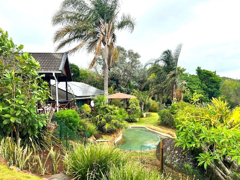 A lush garden setting featuring a swimming pool, solar panels on the roof, and a timber deck area, surrounded by mature trees and landscaping.