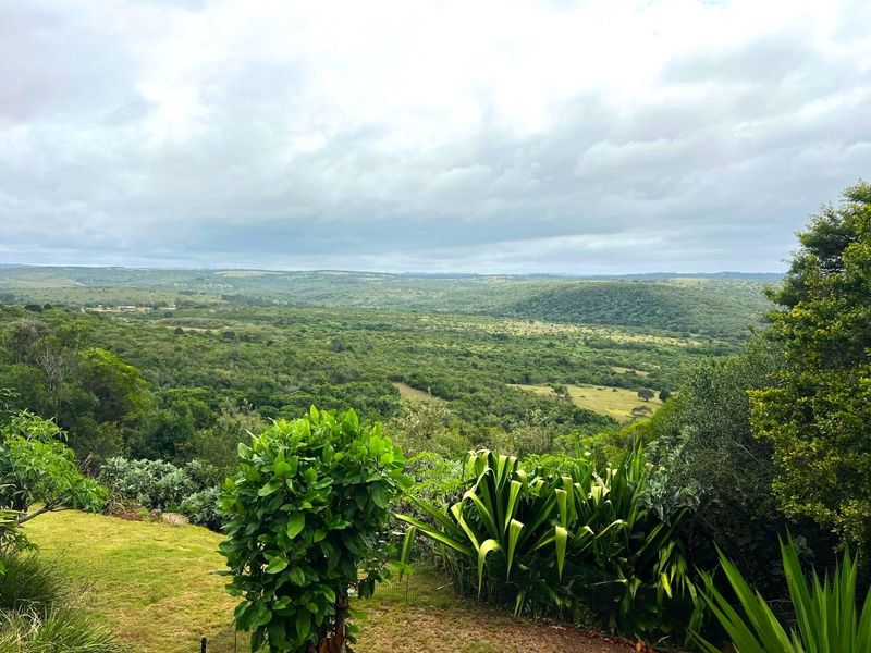 A scenic, elevated landscape view overlooking expansive green hills and natural vegetation on the farm property.