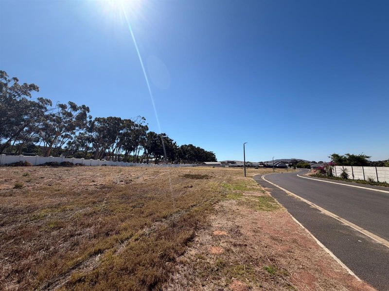 Vacant Land For Sale in Darling - Photo 7