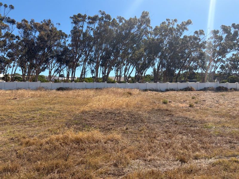 Vacant Land For Sale in Darling - Photo 6