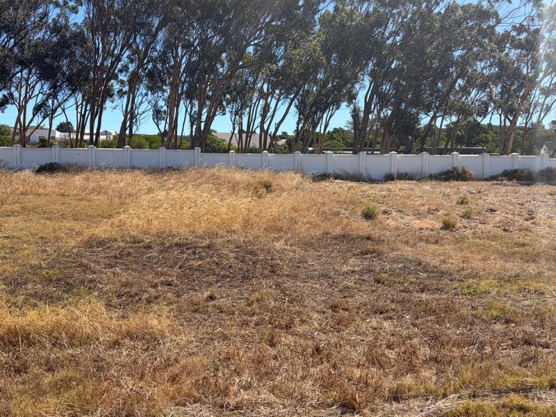 Vacant Land For Sale in Darling - Photo 3