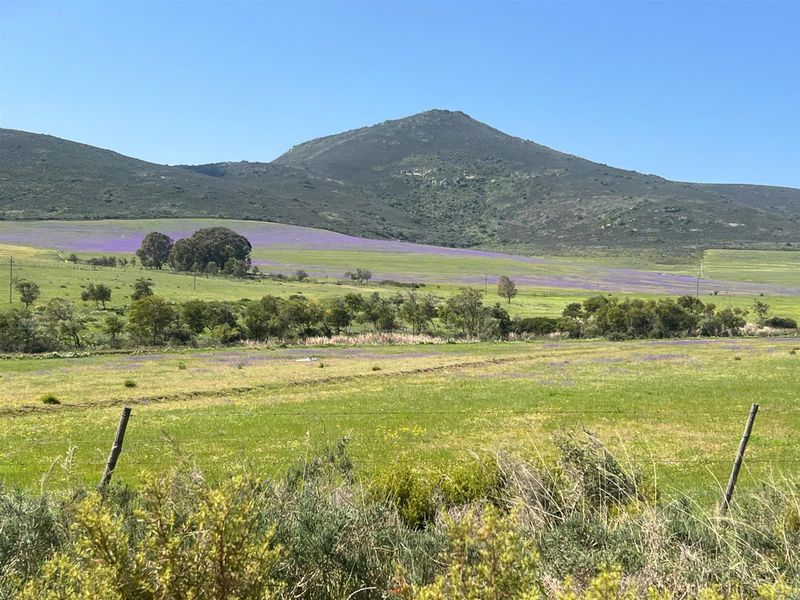 Vacant Land For Sale in Darling - Photo 10