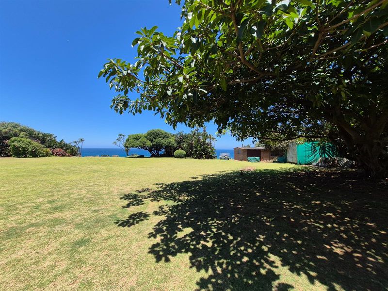 Expansive garden area featuring mature trees and a scenic ocean view, providing a tranquil outdoor space on the property.