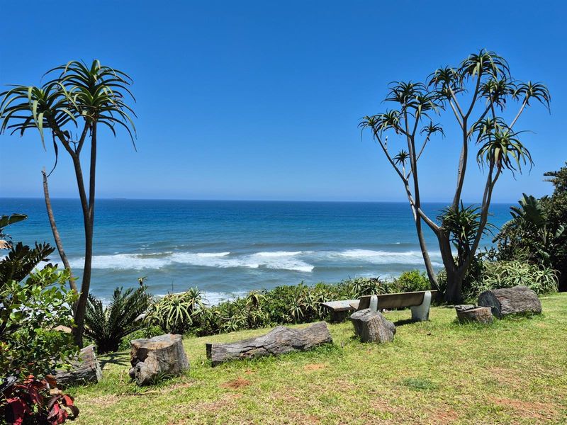 A scenic coastal garden area featuring established indigenous trees and an expansive, unobstructed ocean view.