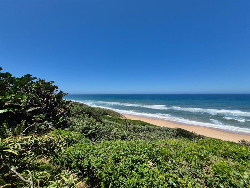 A scenic elevated view overlooking the coastline, featuring lush coastal vegetation and a pristine sandy beach with ocean waves.