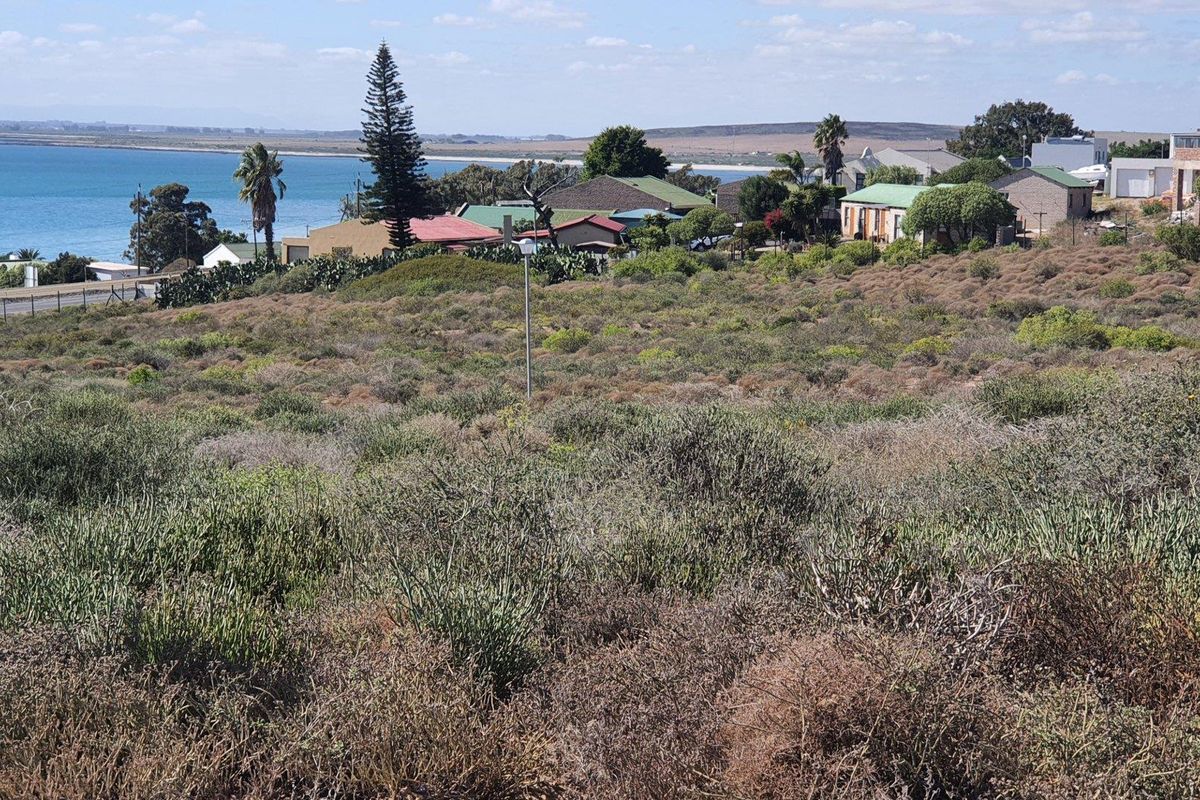 A vacant residential plot featuring natural coastal vegetation and expansive views of the nearby bay and surrounding neighborhood.