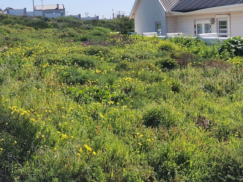 Vacant Land For Sale in St Helena Views, St Helena Bay - Photo 6