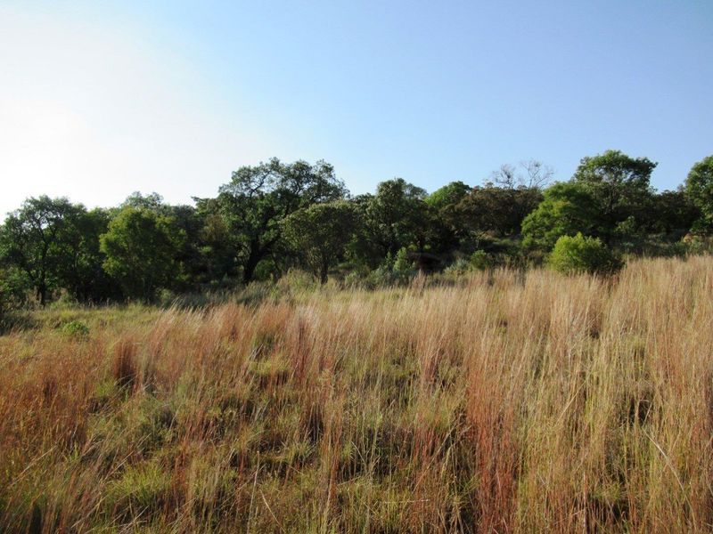 Farm For Sale in Cullinan Rural, Cullinan - Photo 8