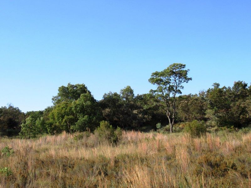 Farm For Sale in Cullinan Rural, Cullinan - Photo 7