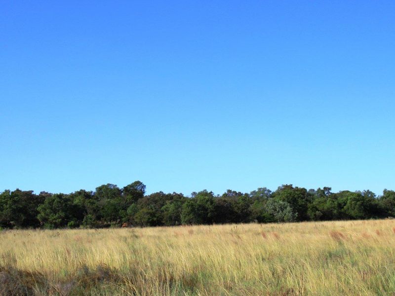 Farm For Sale in Cullinan Rural, Cullinan - Photo 6