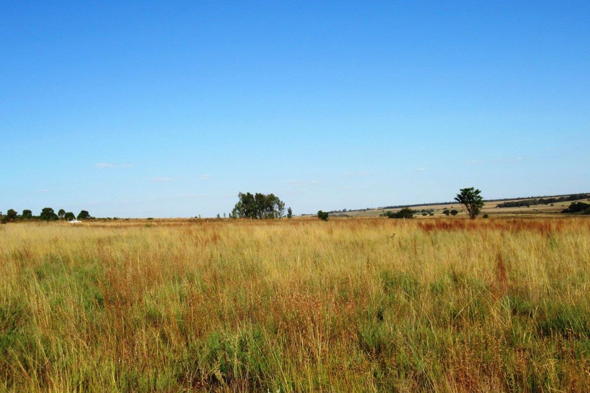 Farm For Sale in Cullinan Rural, Cullinan - Photo 5