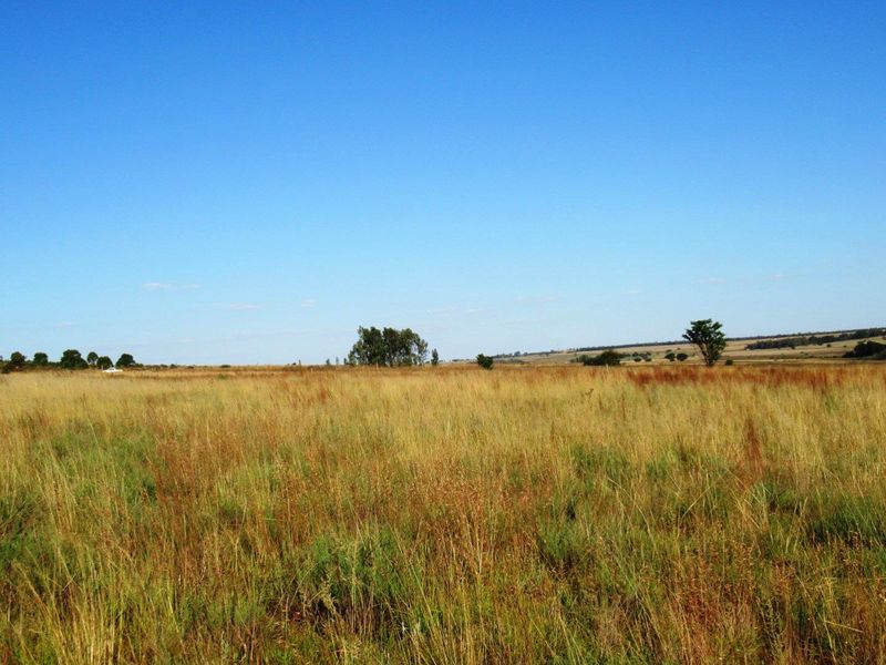 Farm For Sale in Cullinan Rural, Cullinan - Photo 5