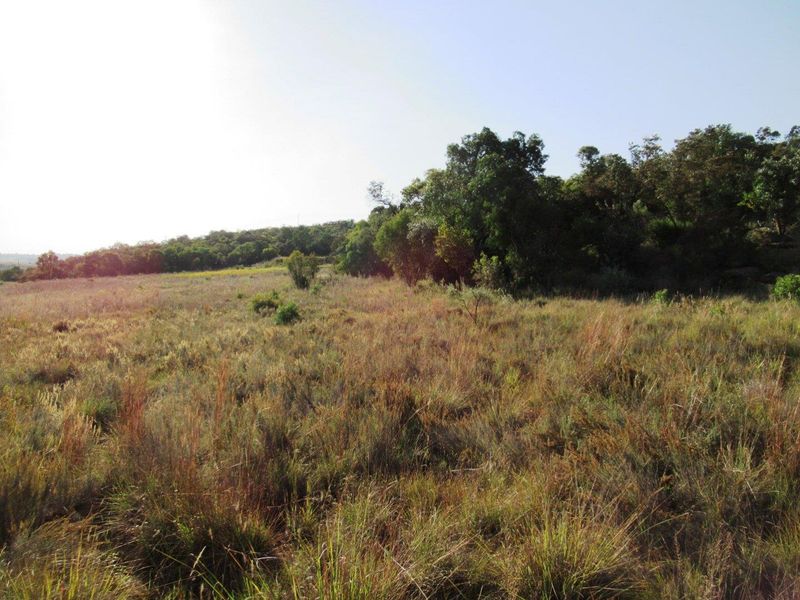 Farm For Sale in Cullinan Rural, Cullinan - Photo 10