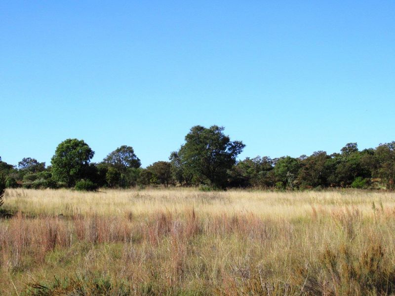 Farm For Sale in Cullinan Rural, Cullinan - Photo 4