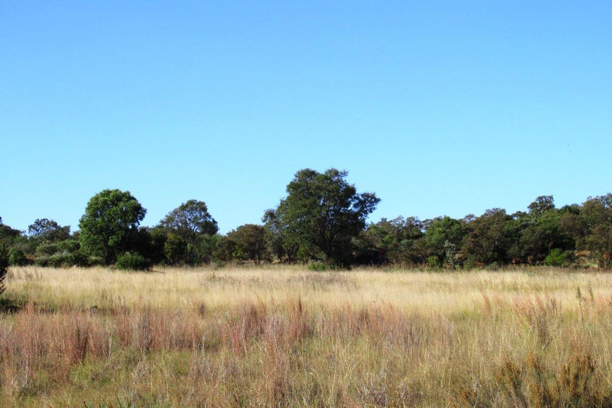 Farm For Sale in Cullinan Rural, Cullinan - Photo 4